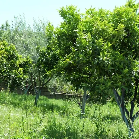 Franko Ξενοδοχείο